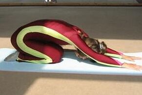 telesna aktivnost za hujšanje